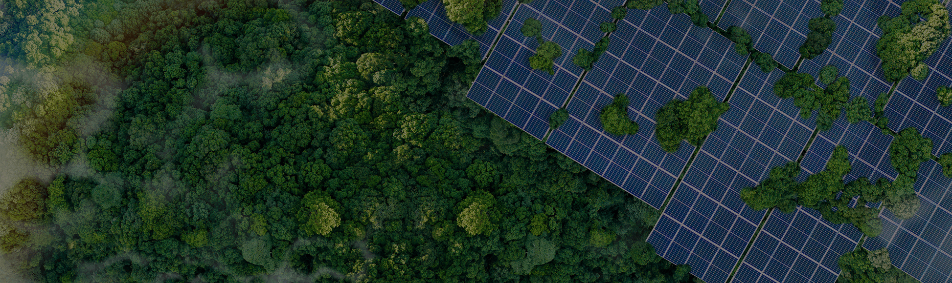 지속가능경영체계