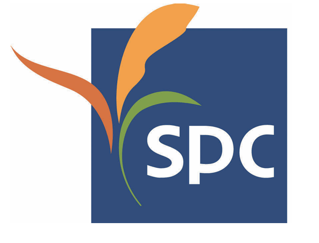 그룹명 SPC로 변경